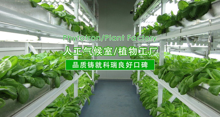 2-http://m.jiayuputaojiu.com/uploads/190724/1-1ZH416094V41.jpg