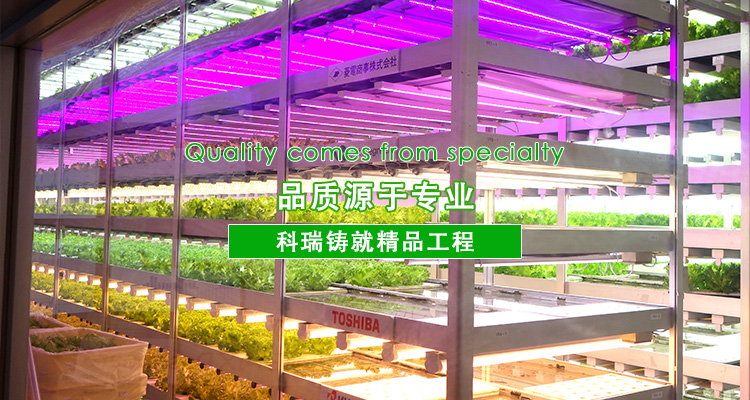4-http://m.jiayuputaojiu.com/uploads/allimg/191012/1-191012141R60-L.jpg